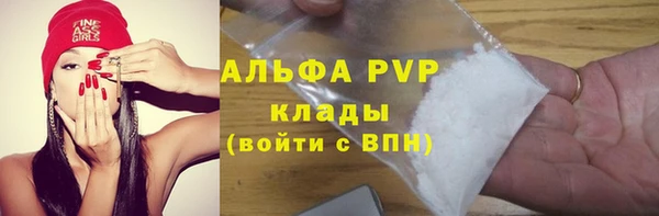 прущие крисы Новозыбков