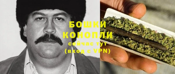 прущие крисы Новозыбков
