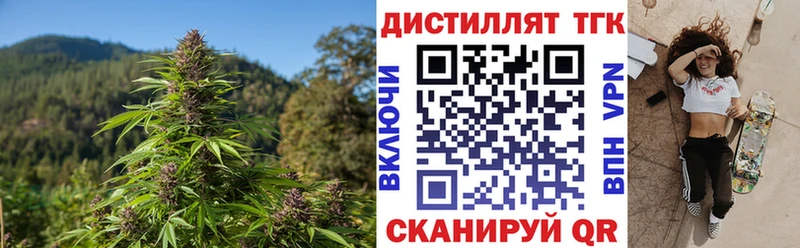 где можно купить   Мытищи  ТГК концентрат 