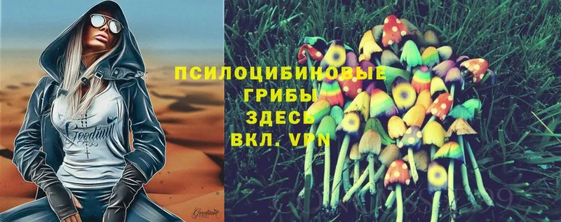 Псилоцибиновые грибы MAGIC MUSHROOMS Мытищи