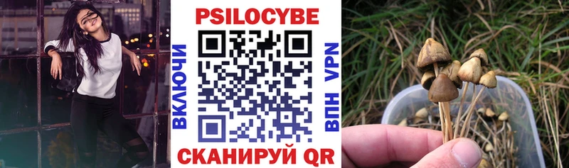 Галлюциногенные грибы MAGIC MUSHROOMS  Мытищи 