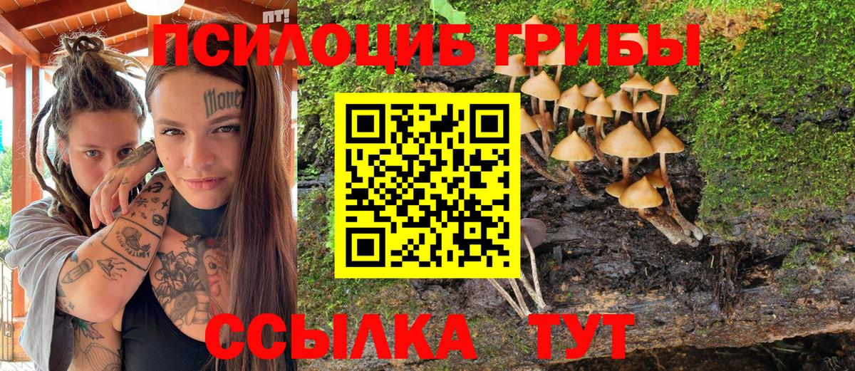 Псилоцибиновые грибы мухоморы  Вход с VPN  Псилоцибиновые грибы Magic Shrooms  Мытищи 