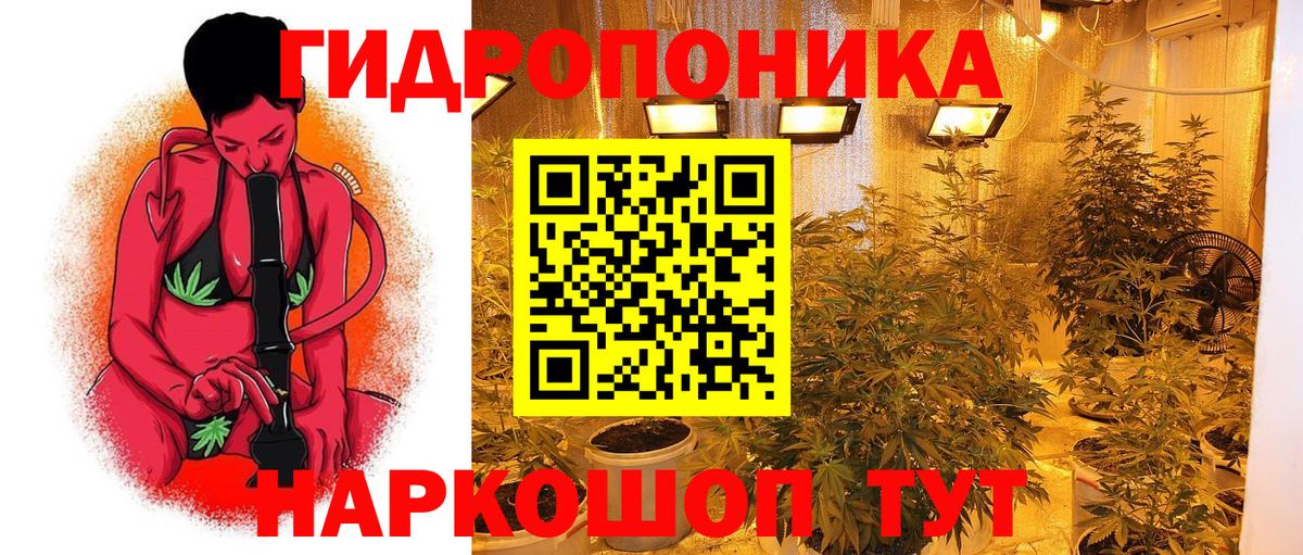 Марихуана план  Каннабис Amnesia  Марихуана конопля  Марихуана White Widow  Мытищи  Вход с VPN 